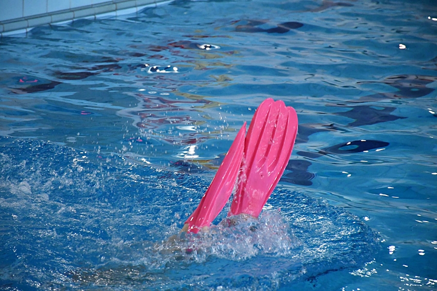 Hokej pod wodą Walenie Siemianowice Śląskie Finał WOŚP w Rudzie Śląskiej 25 I 2026